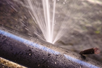 Black Diamond water leaking problems resolved in WA near 98010