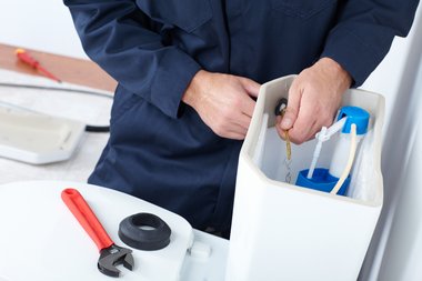 Buckley toilet repair experts in WA near 98321